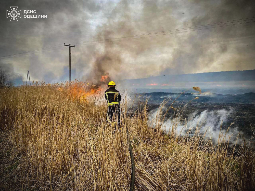 3666 image for slide