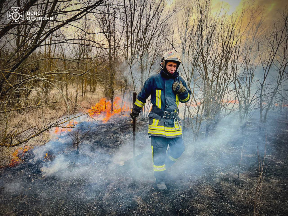 3667 image for slide