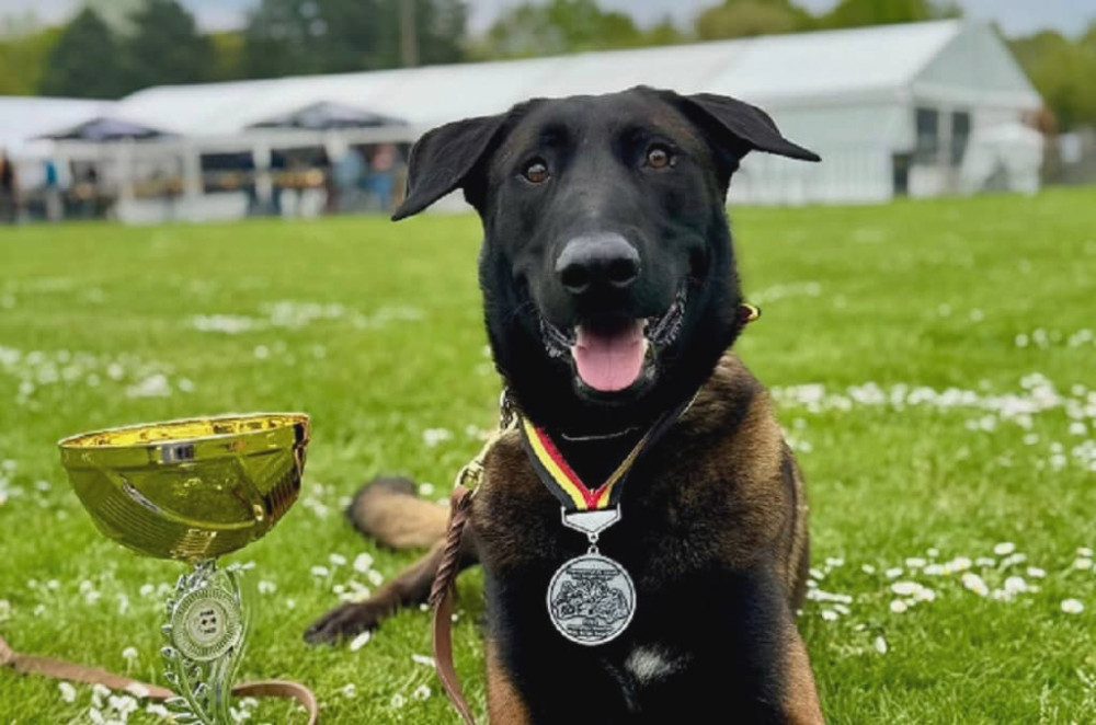 3695 image for slide