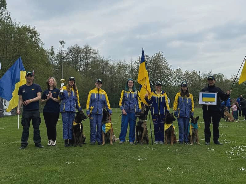 3696 image for slide