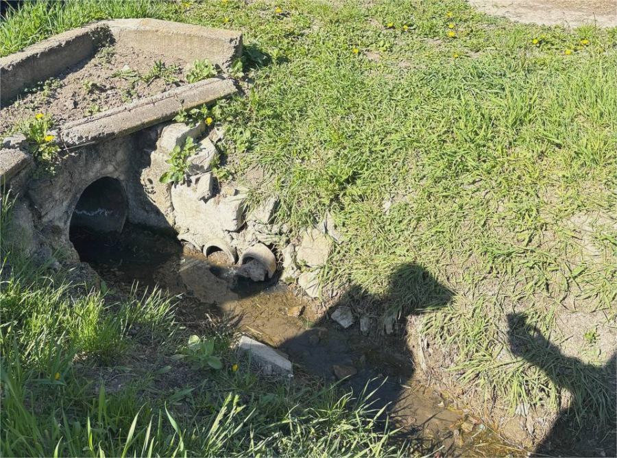 3785 image for slide