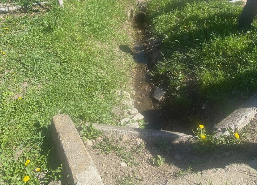 3786 image for slide