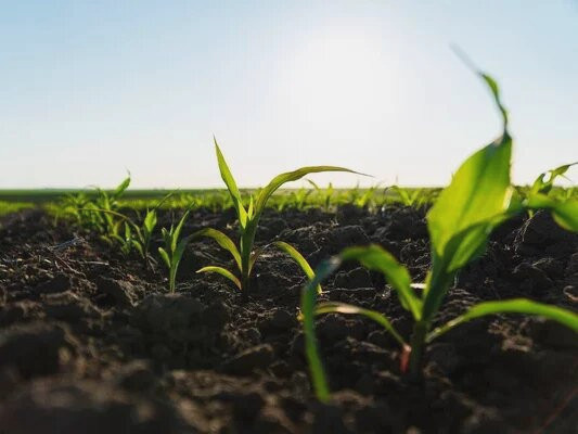 3846 image for slide