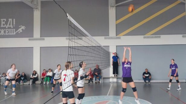 3919 image for slide