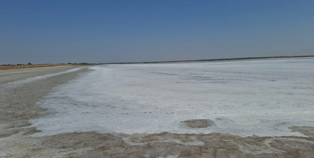 4878 image for slide