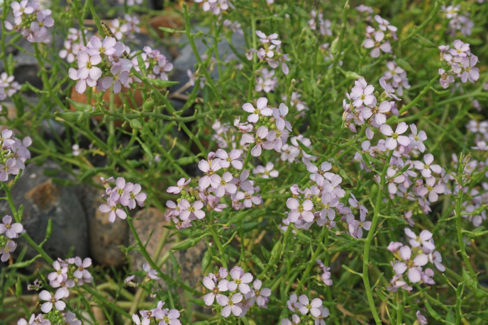 4928 image for slide