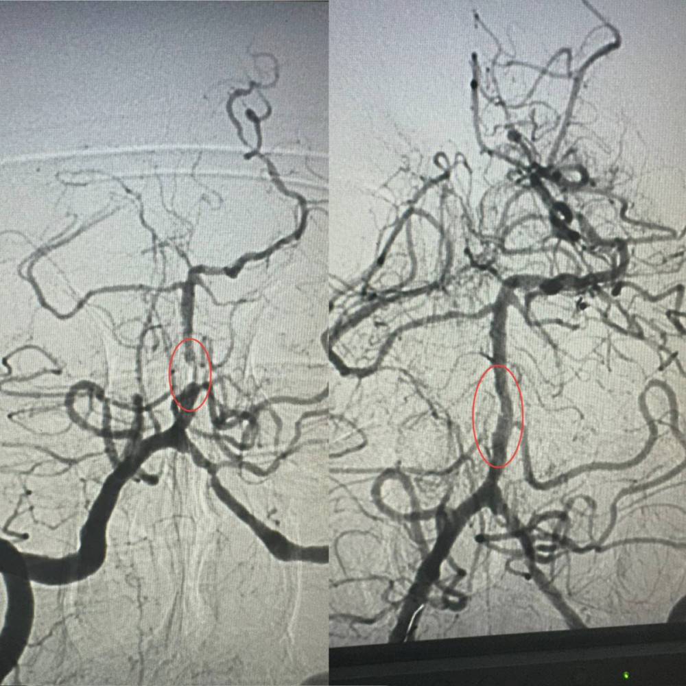 5073 image for slide