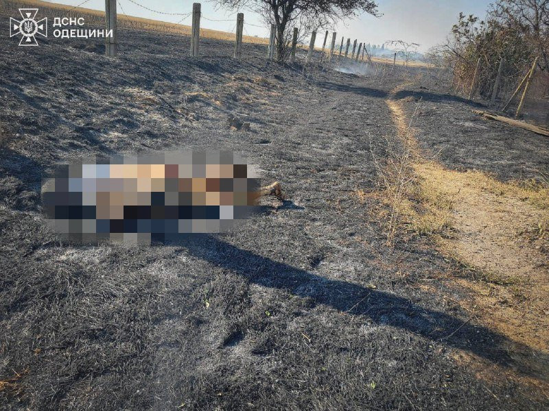 5223 image for slide