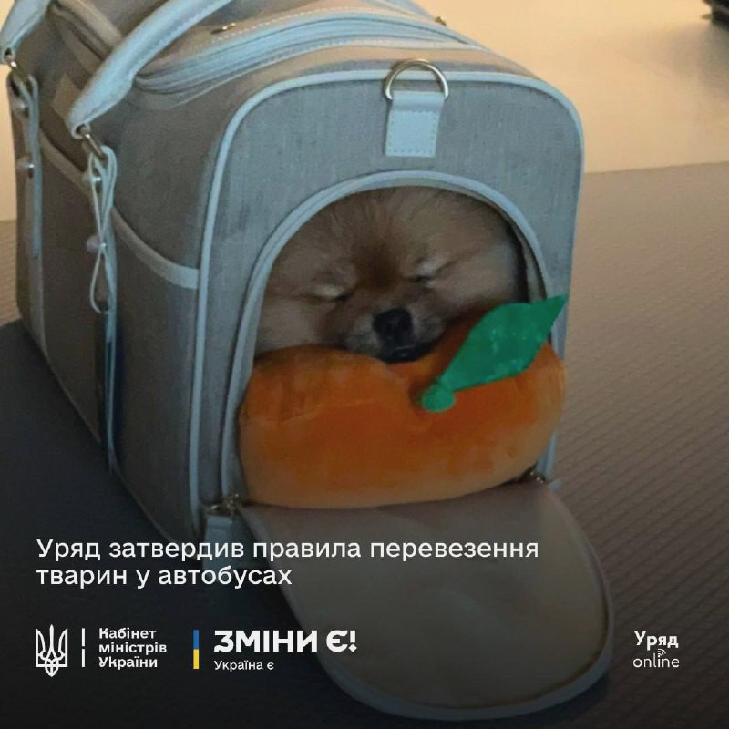 5225 image for slide