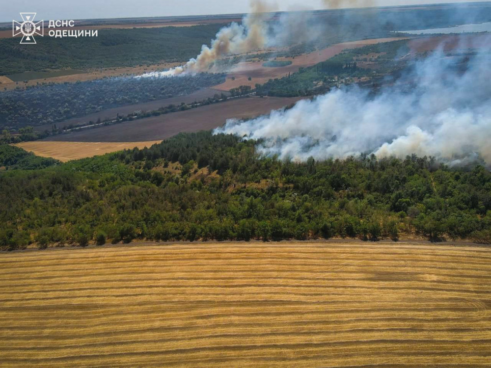 5286 image for slide