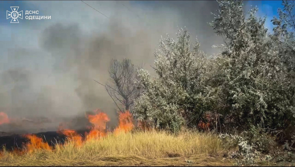 5291 image for slide