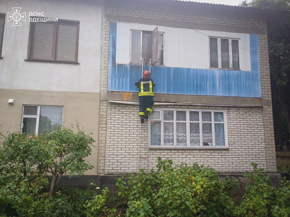 5294 image for slide