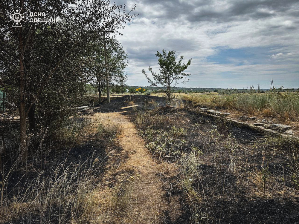 5515 image for slide