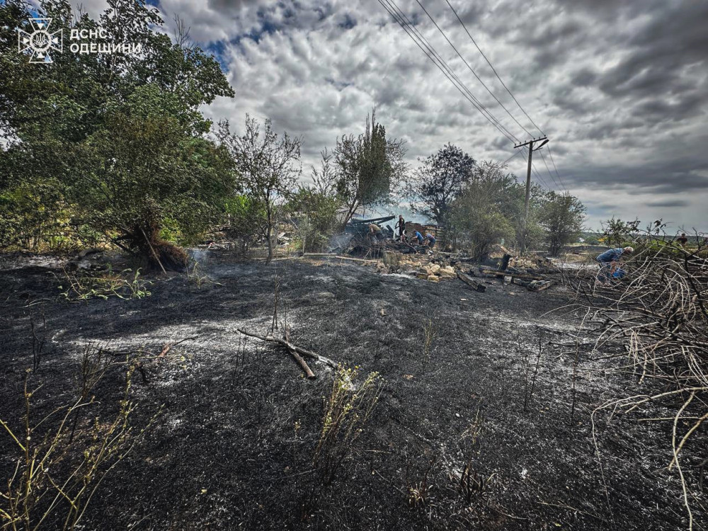 5517 image for slide