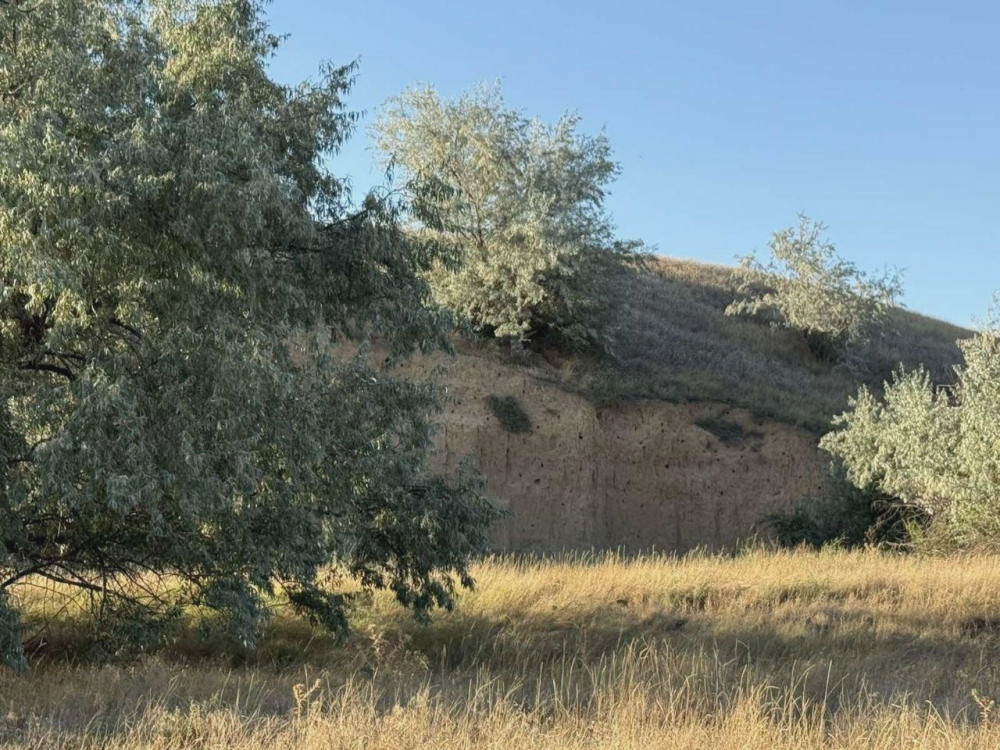 5649 image for slide