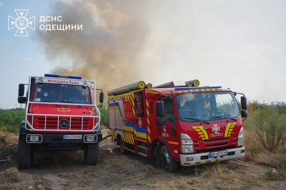 5651 image for slide