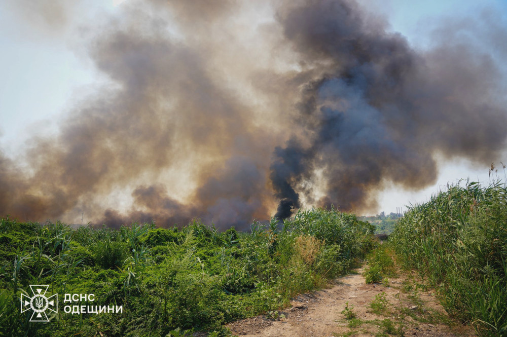 5654 image for slide