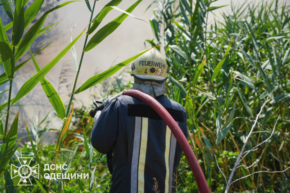 5655 image for slide