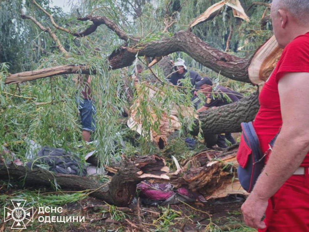 5657 image for slide