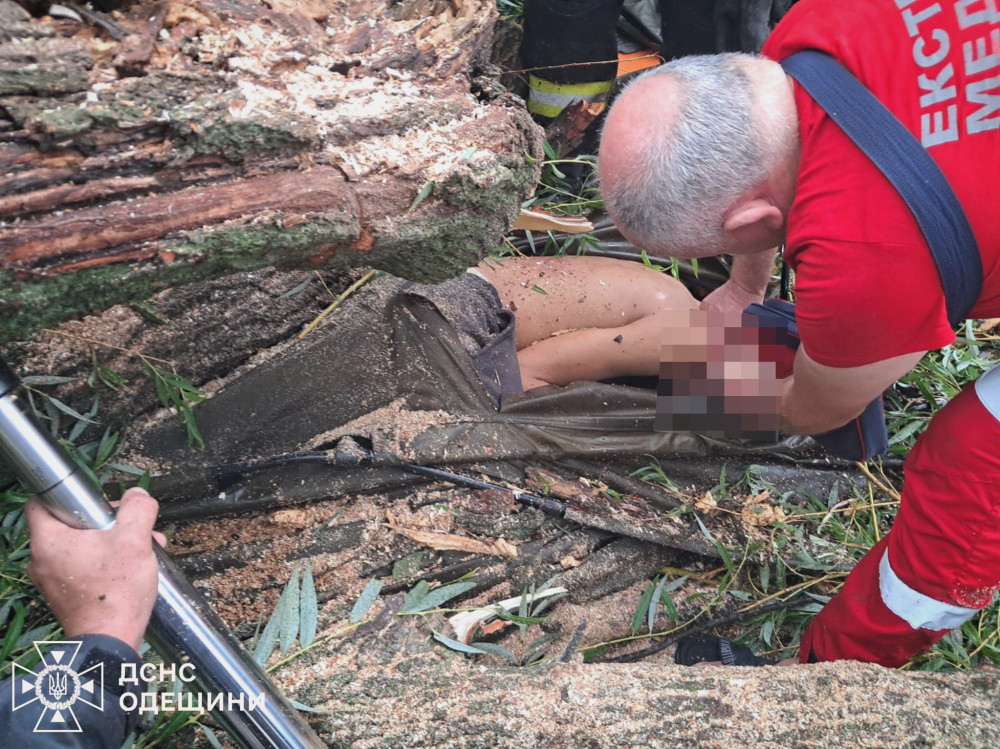 5659 image for slide