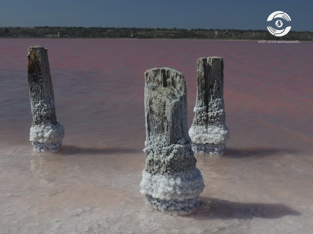 5816 image for slide