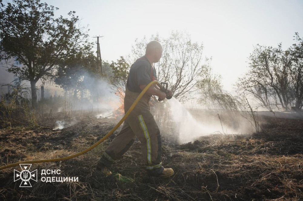 5863 image for slide