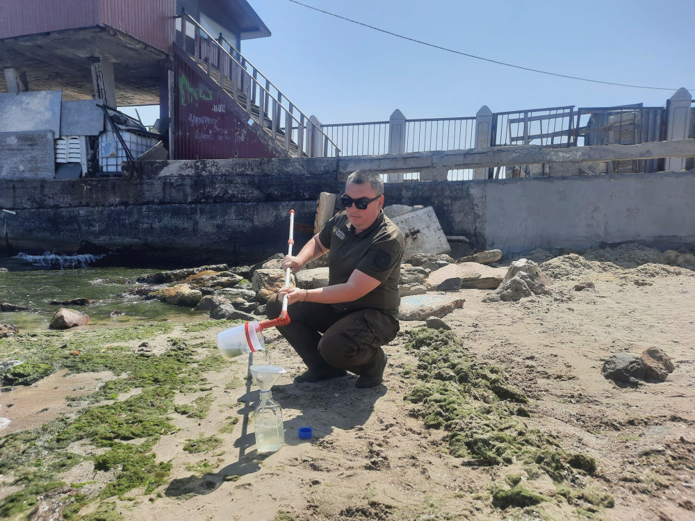 5902 image for slide