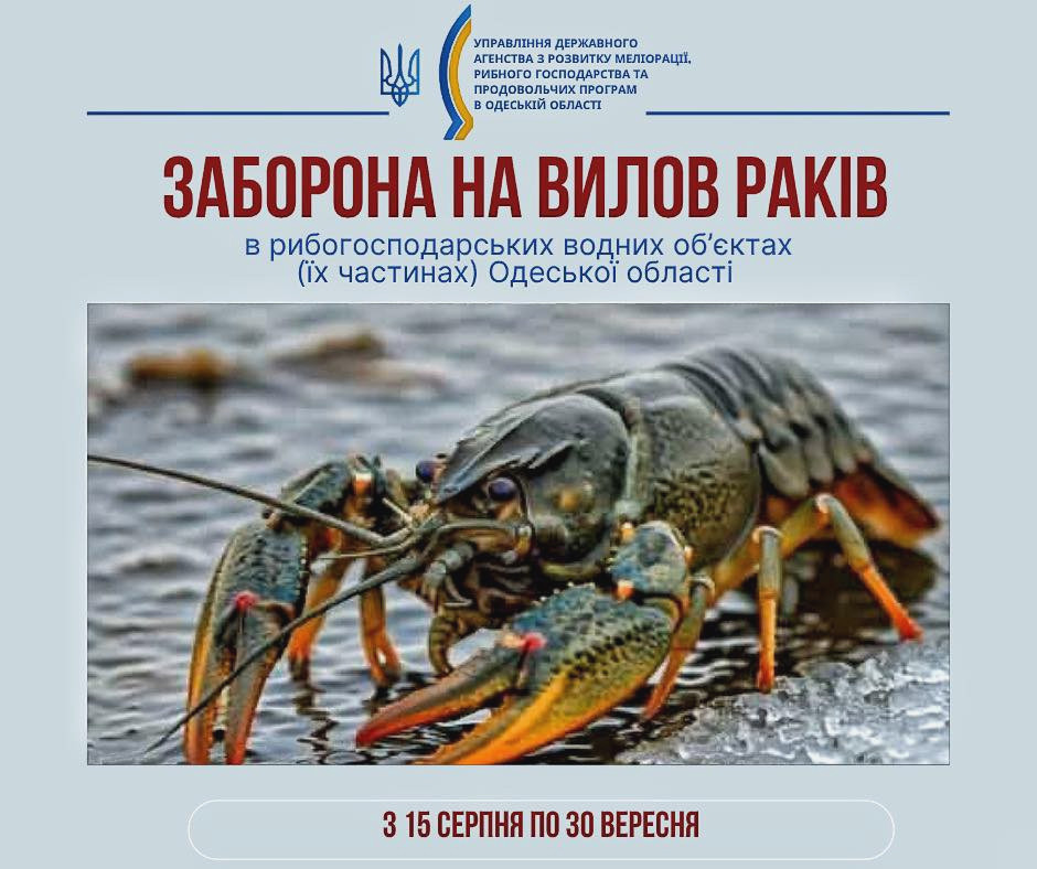 5998 image for slide