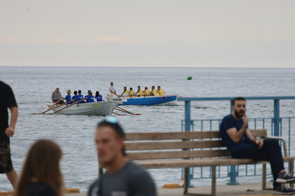 6133 image for slide