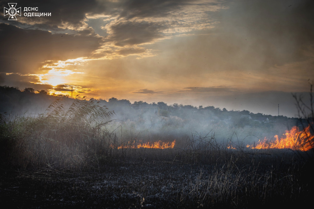 6261 image for slide