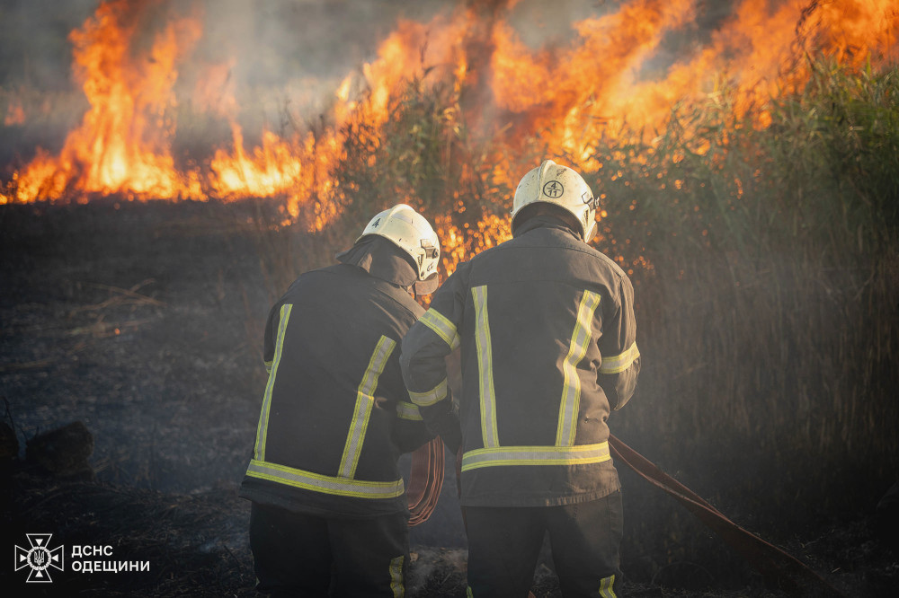 6266 image for slide