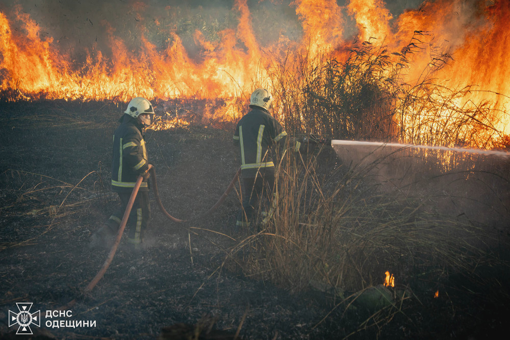 6268 image for slide