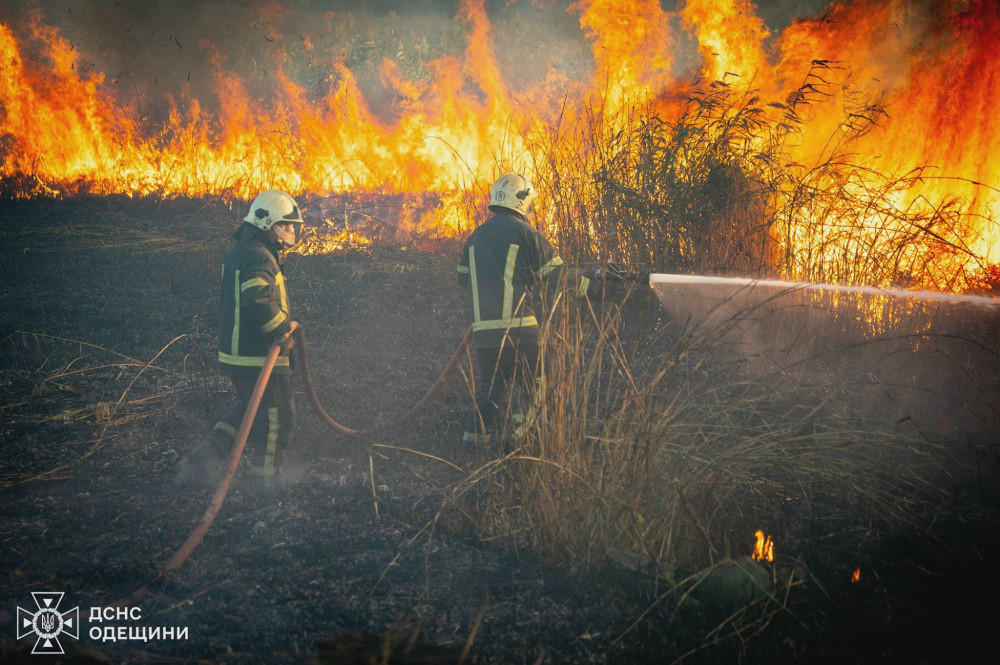 6538 image for slide