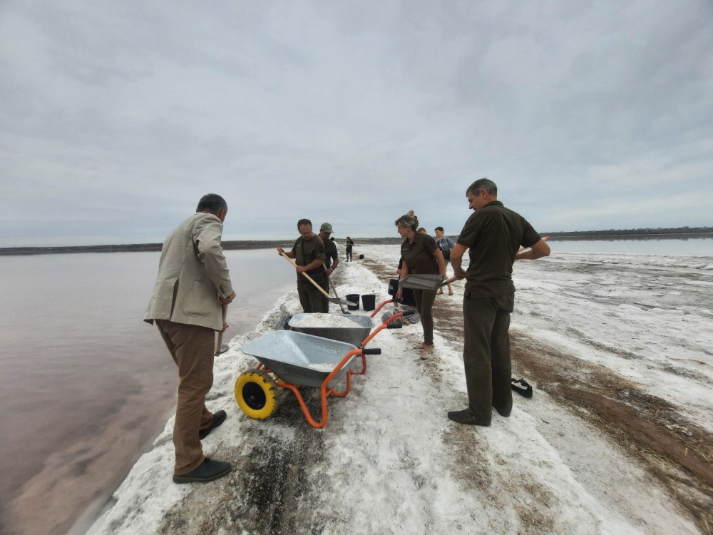 6544 image for slide