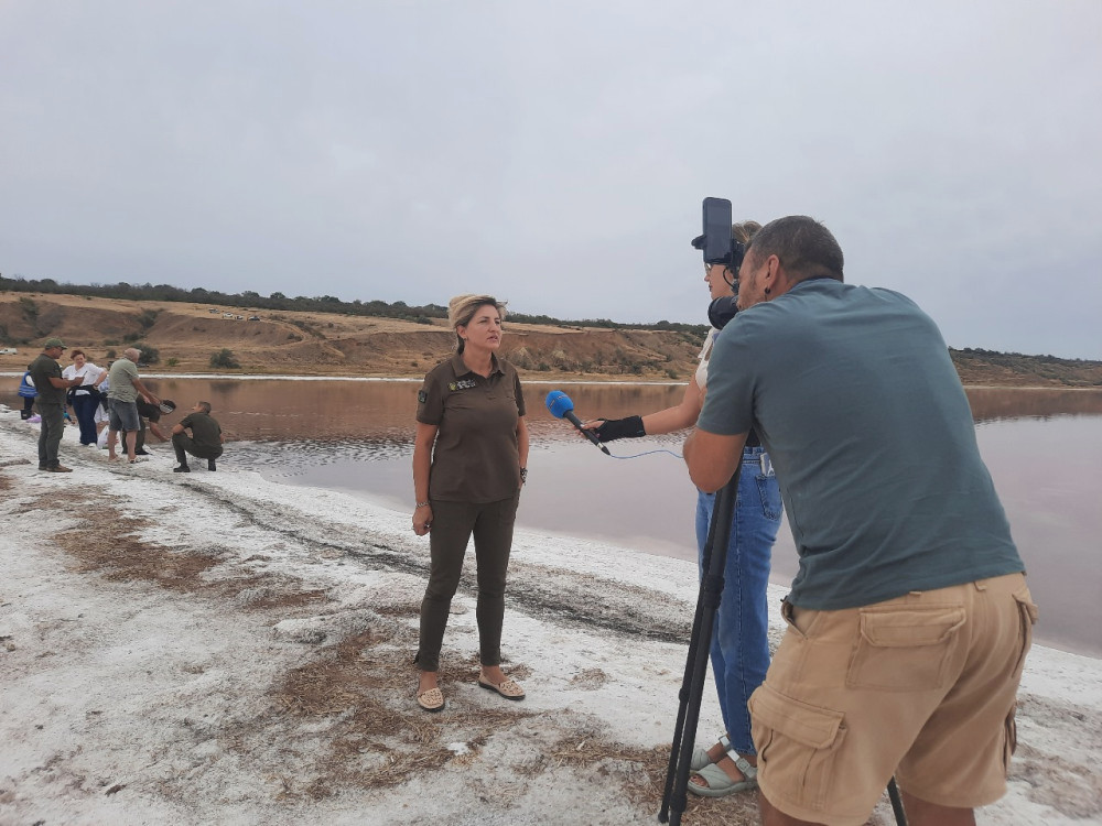 6546 image for slide