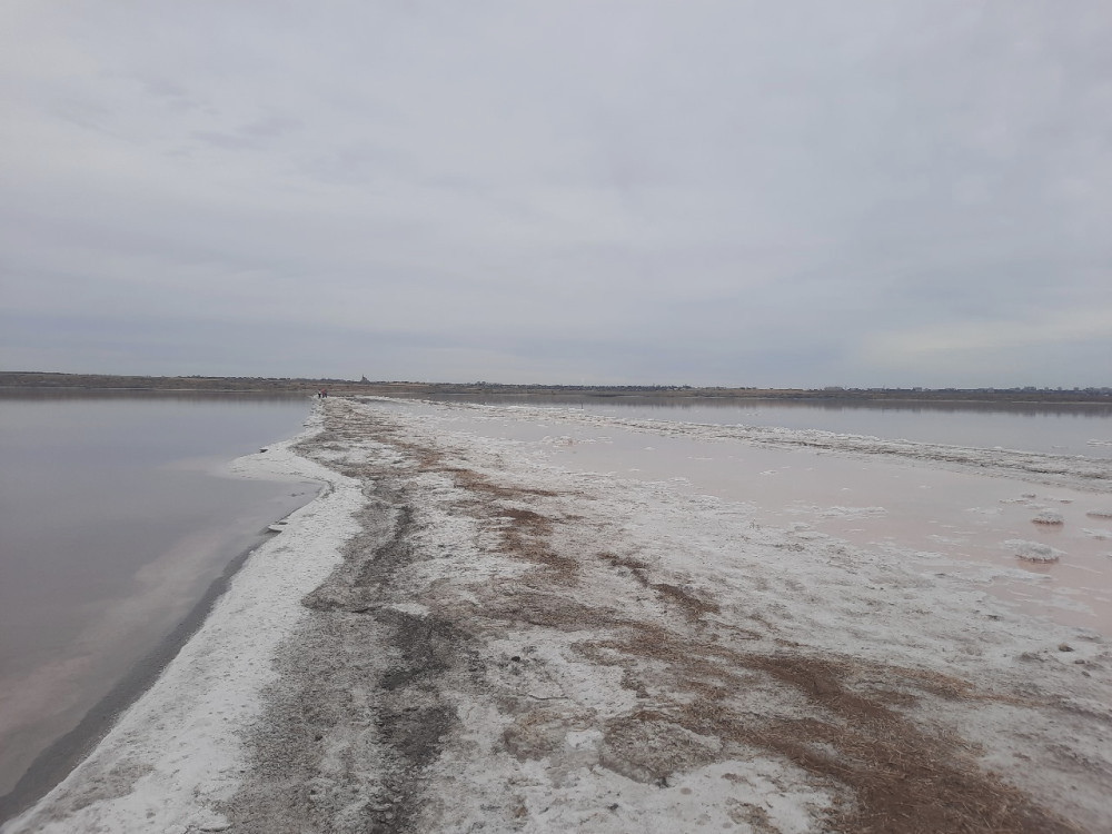 6550 image for slide