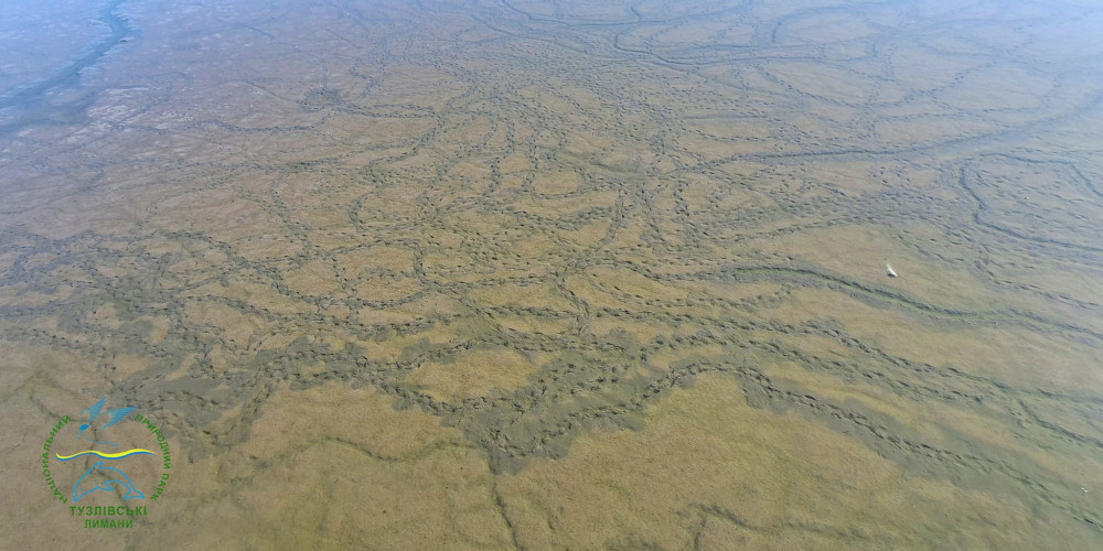 6902 image for slide