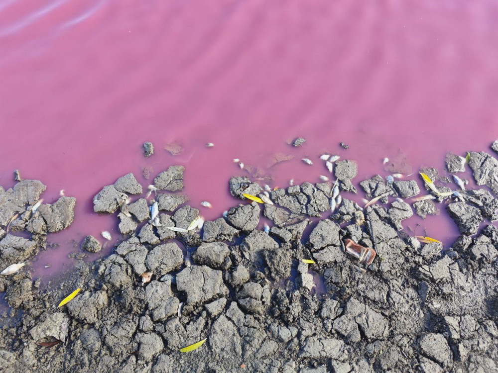 7222 image for slide