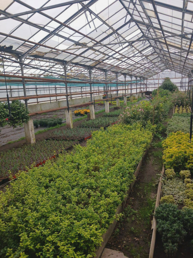 7228 image for slide