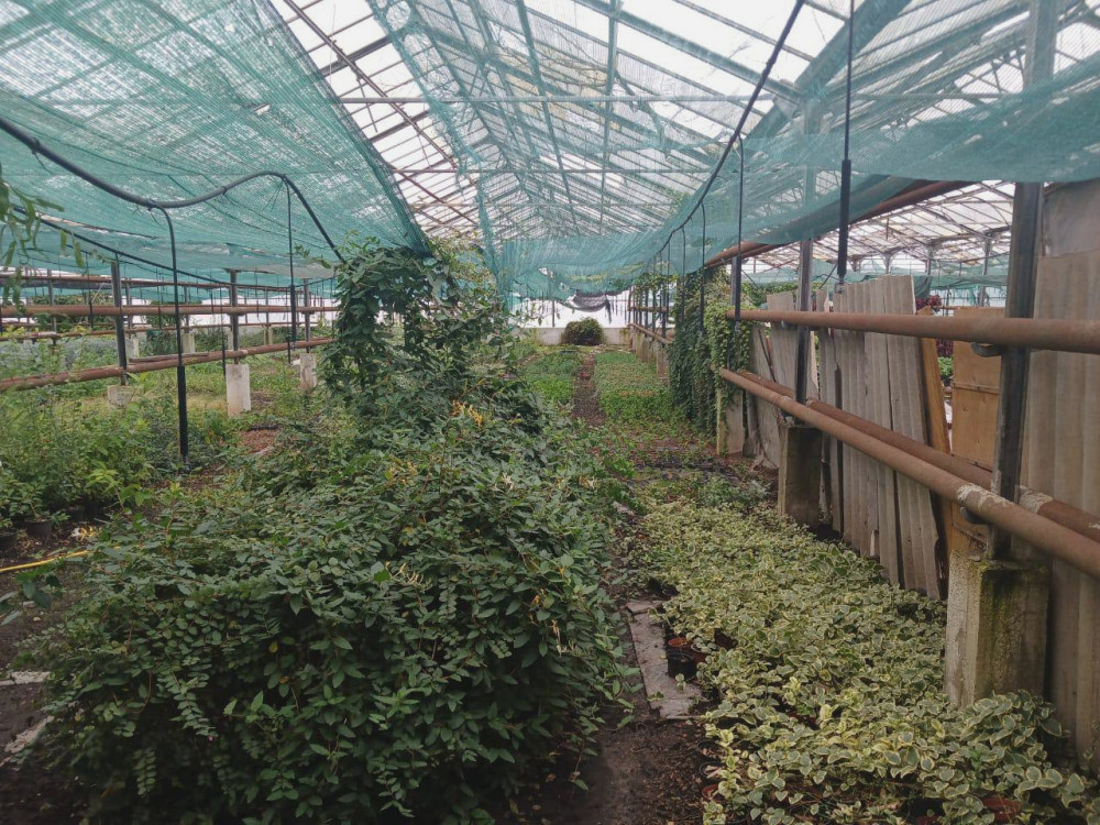 7229 image for slide