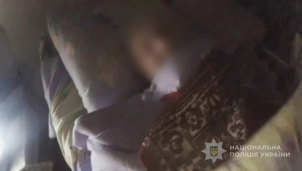 7291 image for slide