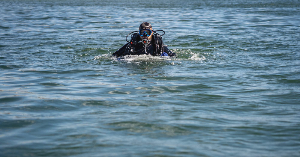 7431 image for slide