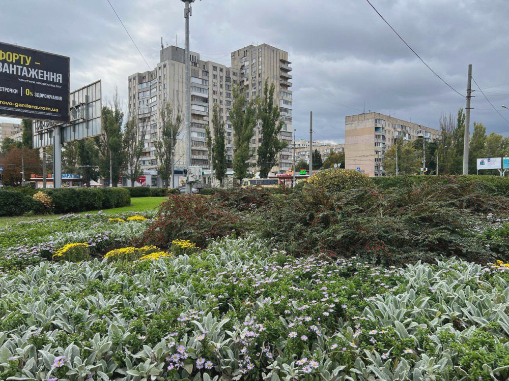 7442 image for slide