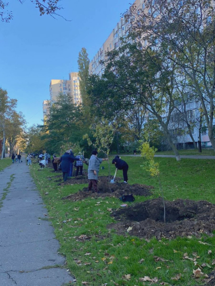 7455 image for slide