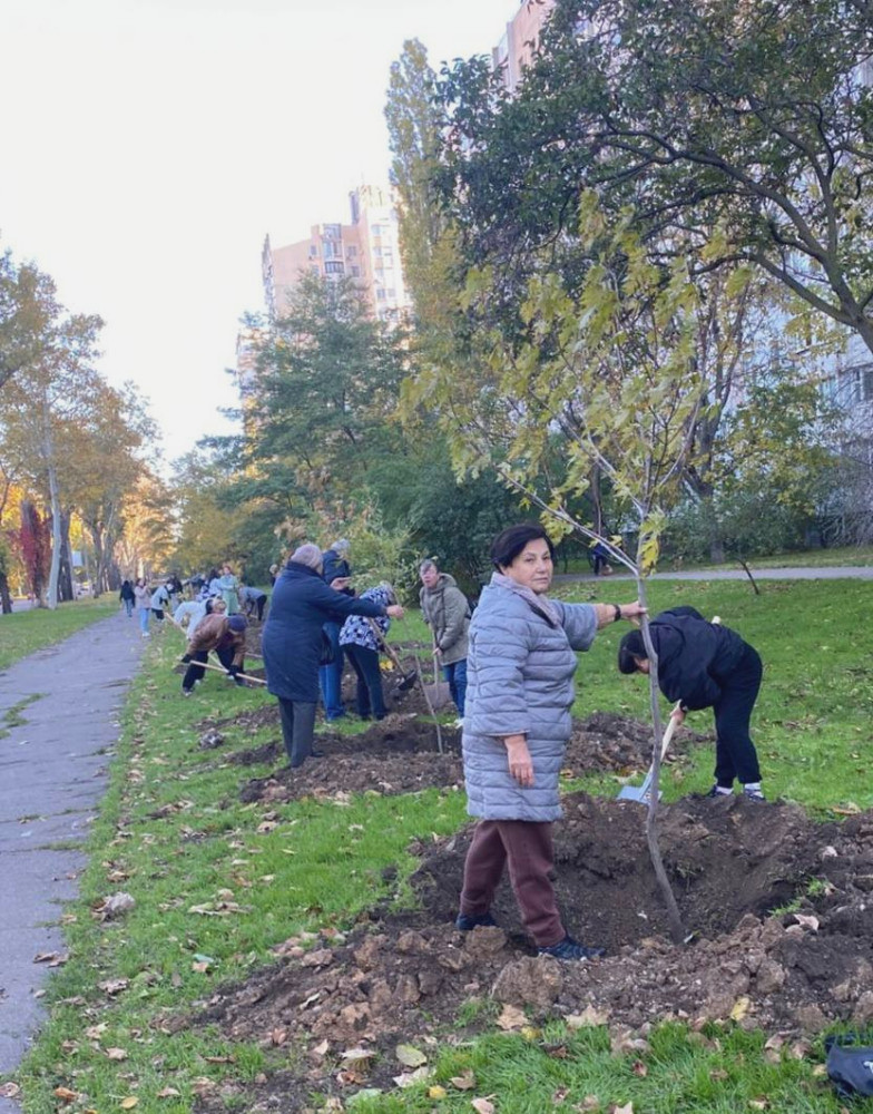 7456 image for slide