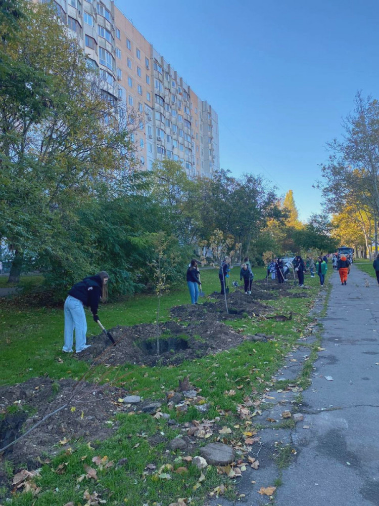 7457 image for slide