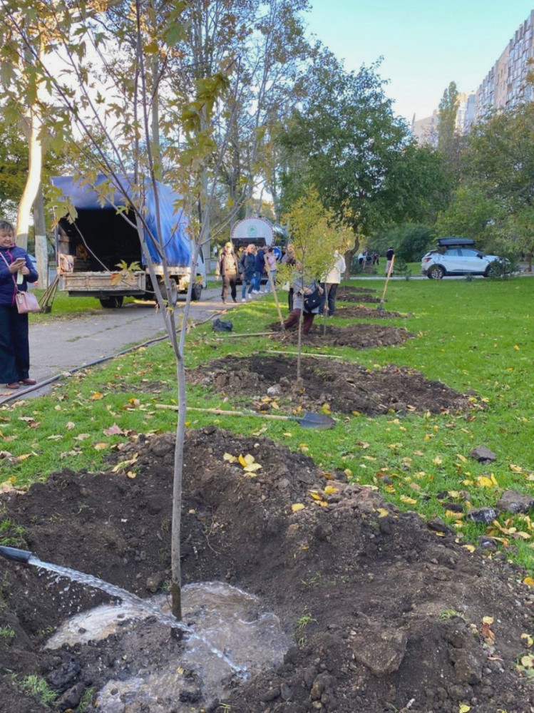 7459 image for slide