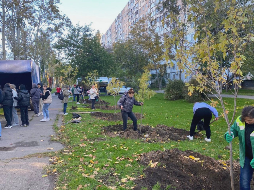 7460 image for slide