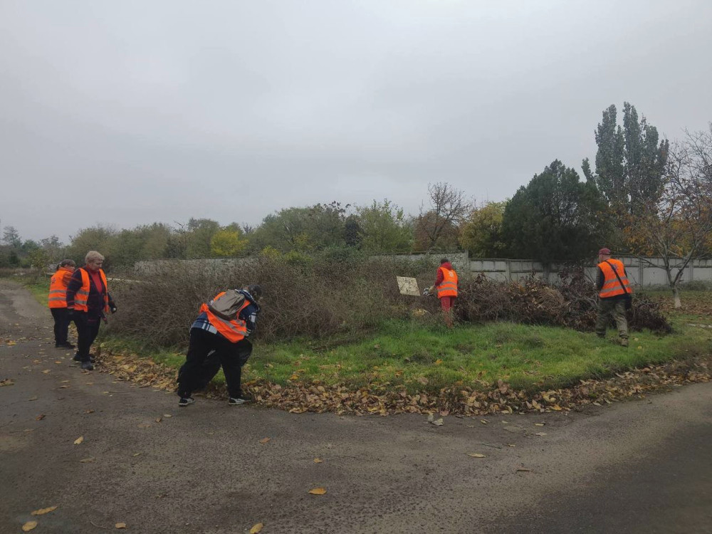 7476 image for slide