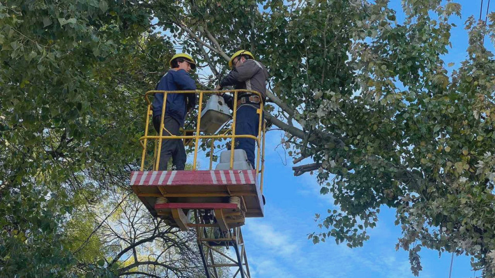 7506 image for slide